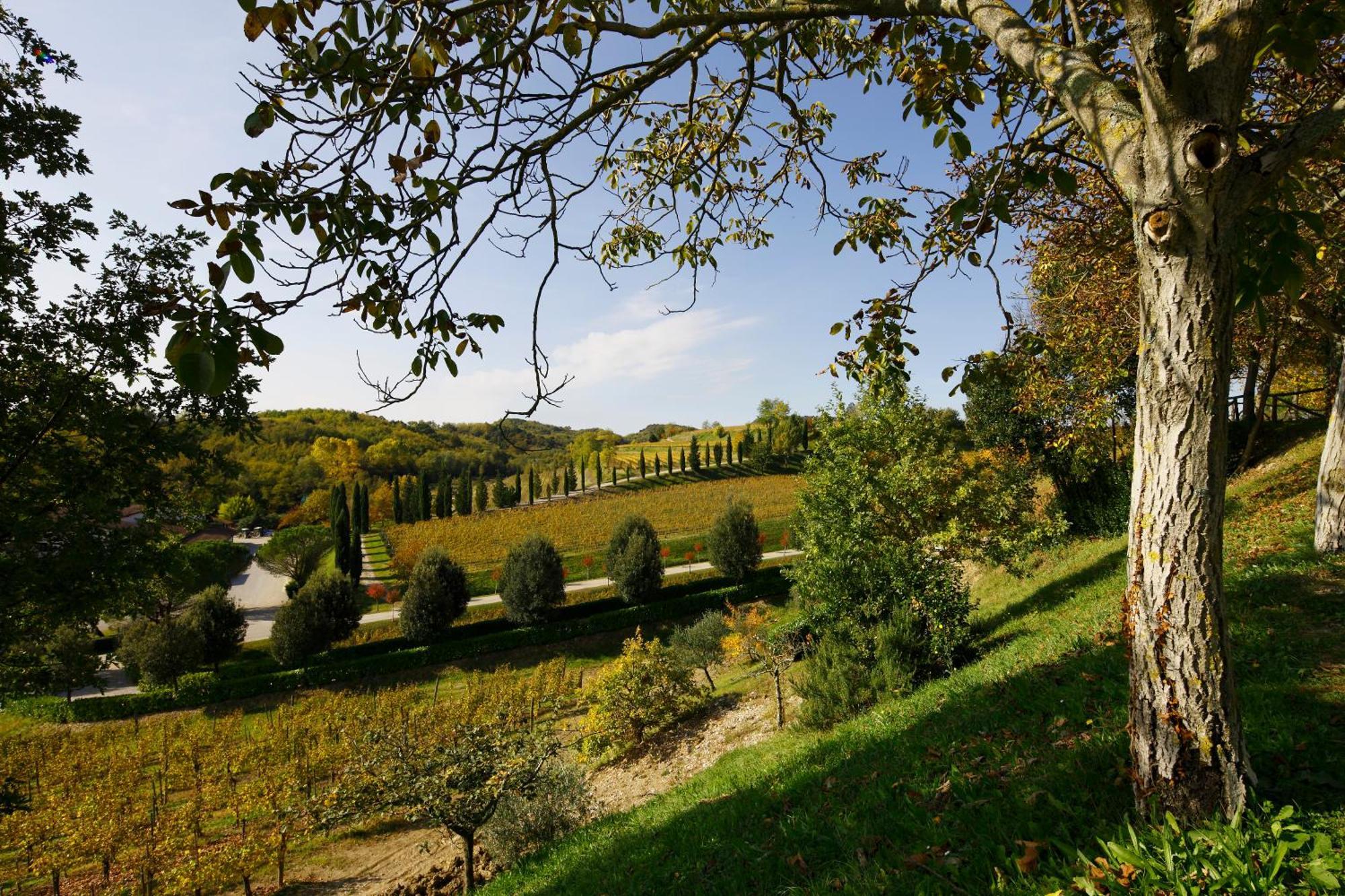 Relais Russiz Superiore Capriva del Friuli Exterior photo
